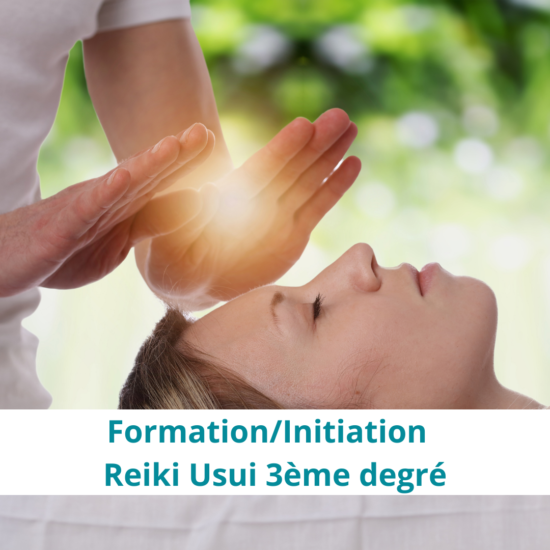 reiki degré 3 stage formation var